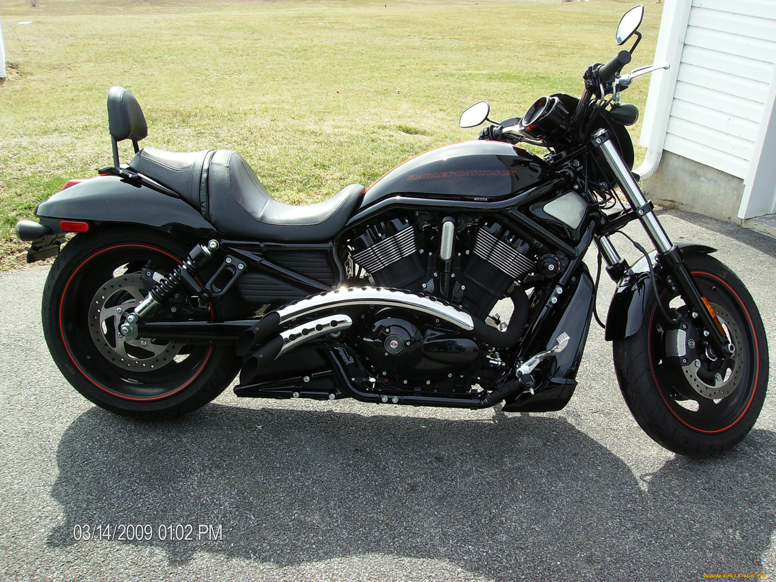 , harley, davidson